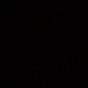 Meet your Posher, Mia